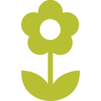 spring icon